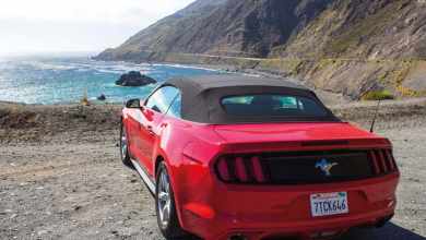 Mustang Convertible Car Rental